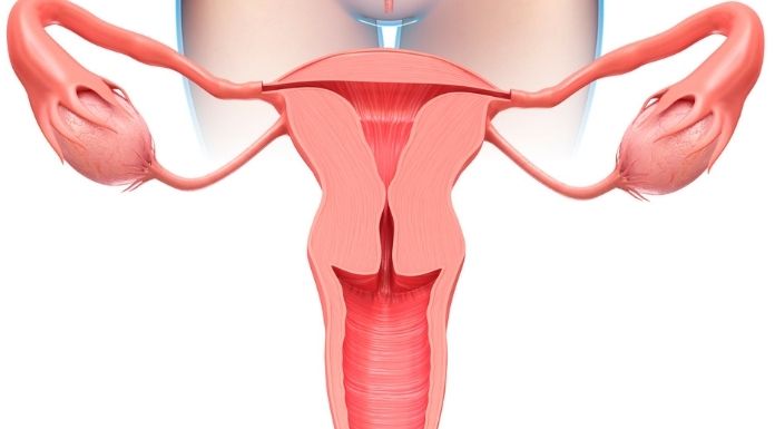 น้ำคาวปลาจะถูกขับออกมาหลังคลอด