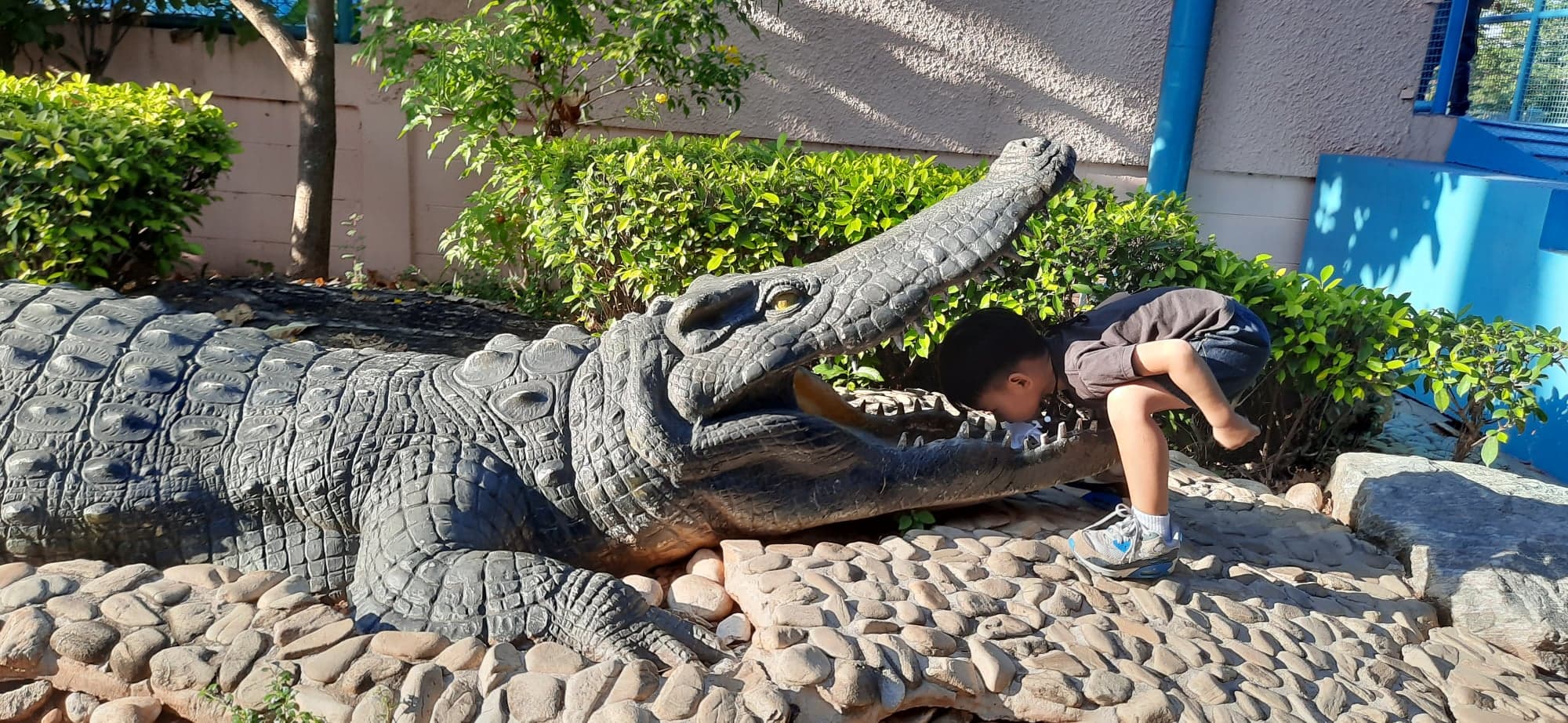 ถ่ายรูปกับสัตว์หลายชนิดที่บึงฉวาก