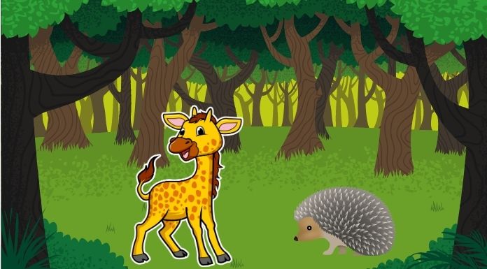 Bedtime story hedgehog girl