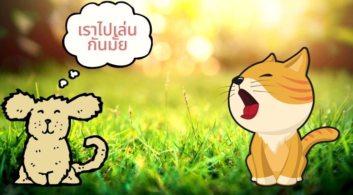 ภาพประกอบนิทานก่อนนอนสั้นๆ เรื่องน้องหมาหาเพื่อน