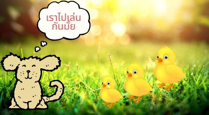 ภาพประกอบนิทานก่อนนอนสั้นๆ เรื่องน้องหมาหาเพื่อน