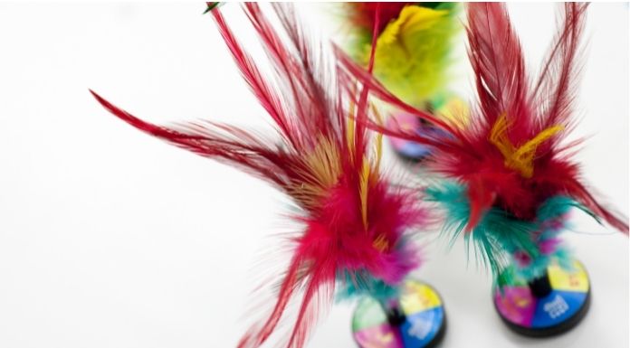 ภาพประกอบนิทาน เรื่องราวขนนก