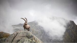 ดวงคู่รัก ราศีมังกร