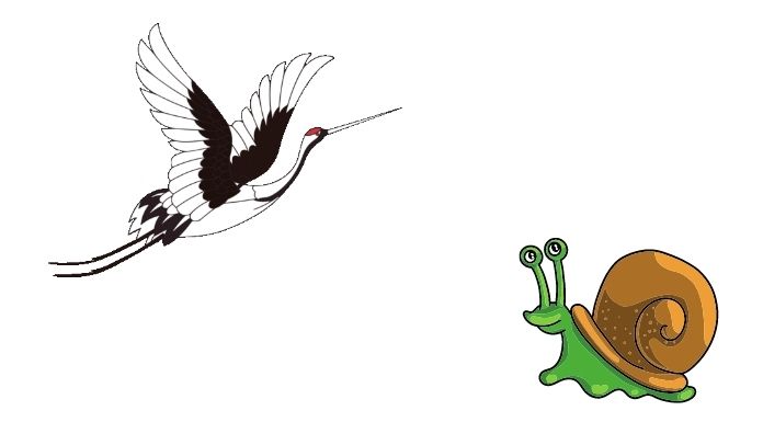 ภาพประกอบนิทาน หอยทากน้อยหาคุณหมอ