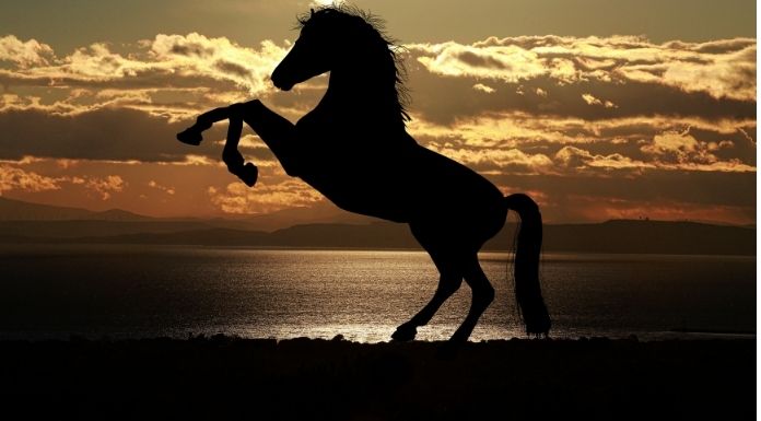 ภาพประกอบนิทาน