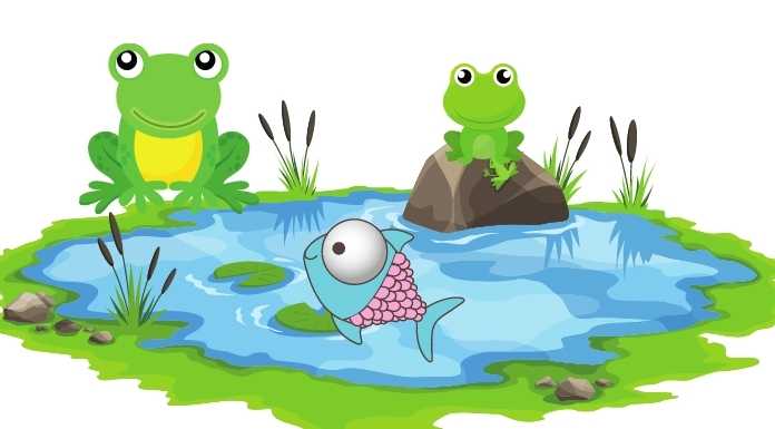 นิทานกบนับดาว