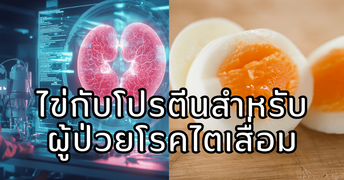 ไข่ขาวกับโรคไต